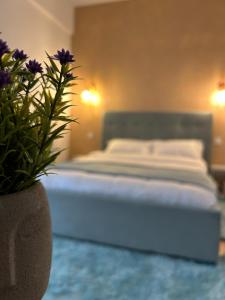 Central Cosy Apartment