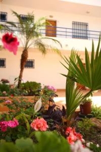 Atlantic Pearl by the Sea - Quarteira