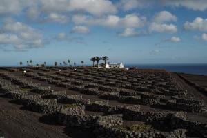 César Lanzarote Luxury Boutique Hotel - Adults Only
