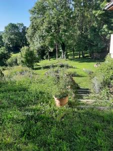 B&B / Chambres d'hotes chambre d-hotes charme et nature : Chambre Double - Vue sur Jardin