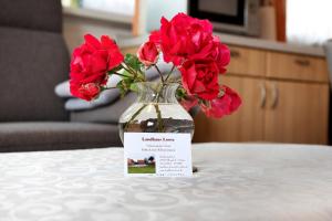 Ferienhaus Landhaus Loose