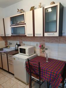 Montenegrinbeautystar