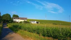 Ferienwohnung "Auf Plandert" - Longen