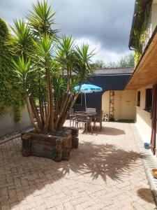 Plain-pied T1 patio et jardin