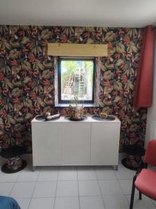 Appartements Plain-pied T1 patio et jardin : photos des chambres