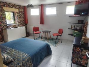 Appartements Plain-pied T1 patio et jardin : photos des chambres