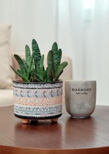 Godija Central Tirana 1