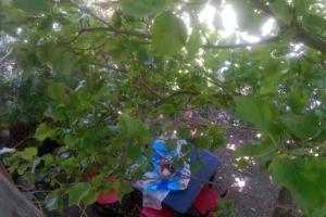 House in Vrontados Chios