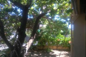 House in Vrontados Chios