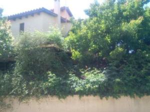 House in Vrontados Chios