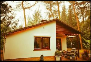 Magical Cottage in the woods