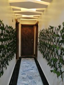 ألقاهرة - الشيخ زايد