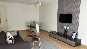 Appartements Superbe Appartement tout equipe, Coins cosy a Metz gare, 50M2, Parking prive, Balcon, 2p : photos des chambres