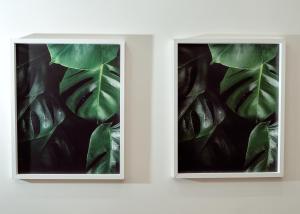 Goodija Central Tirana 2