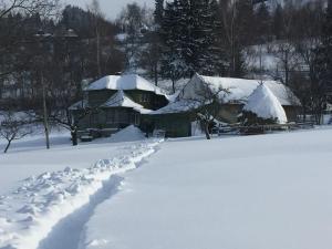 Challet Renatte Bran your home away from home