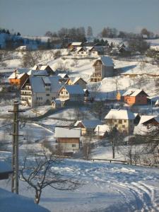 Challet Renatte Bran your home away from home