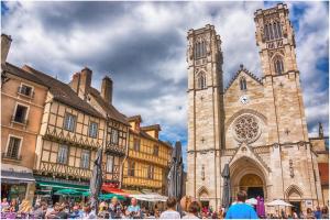 Appartements App cosi Ile Saint Laurent Chalon Sur Saone : photos des chambres
