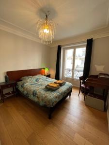 Chambres jardin des plantes pantheon