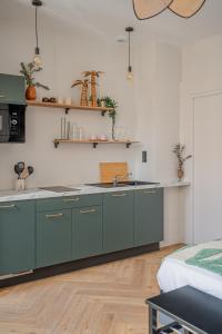 Appart'hotels Le Felix Appart-Hotel, centre ville Romans-sur-Isere : photos des chambres