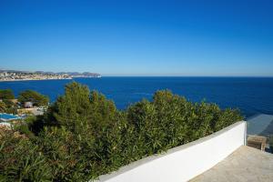 VERTIGO- Managed by Almarina