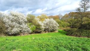 Hilltop Farm Holidays