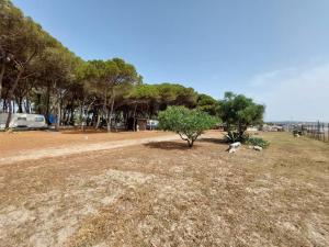 Camping Cammello Grigio
