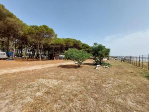 Camping Cammello Grigio