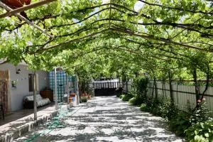 borjomi wood edge - Surami