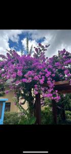 Casa em Campos do Jordão