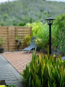 Eclat d’oasis - Beaugendre