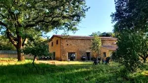 Mas Corsin - 皮奥伦克