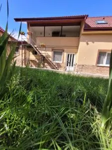 Private room - Turnişor