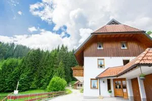 Ferienwohnung Birgit - 绍纳赫