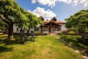 Zielony koń - 索尔克维蒂