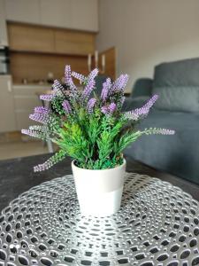 Central Lux ( U CENTRU GRADA, 30m od SPA centra)