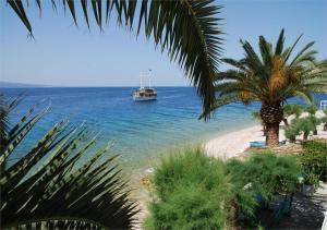 Beach Apartments Borovina