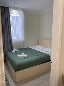 42m square apartment bedroom living room and kitchen separatly