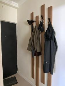 42m square apartment bedroom living room and kitchen separatly