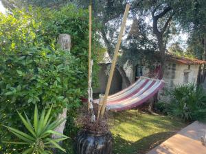 B&B / Chambres d'hotes De la suite dans les oliviers : photos des chambres