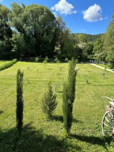 Appartements Clos Augusta 1 : photos des chambres