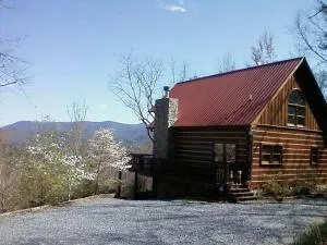 Lizard Lookout Cabin, Pets Welcome! - Ballew Mill