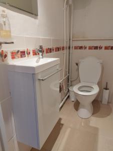 Appartements Bel appartement proche Saint Lary Soulan : photos des chambres