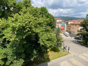 Nido Carrara - Immobili e Soluzioni Rent