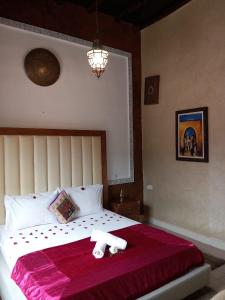 Auberge kasbah tifirte