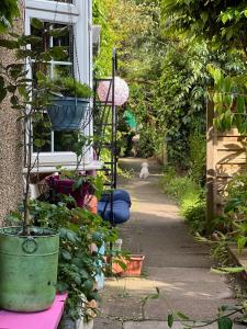 UNIQUE beautiful peaceful conservation area - 20m to town