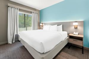 Efficiency King Suite - Non-Smoking room in Comfort Inn & Suites