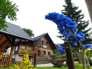 Chalupa Modré Nebe - Vítkovice