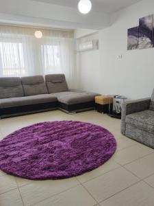 Modern Home in Constanta