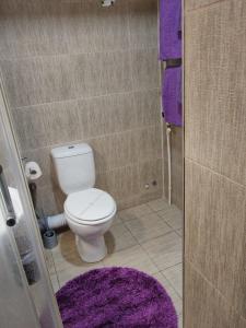 Modern Home in Constanta