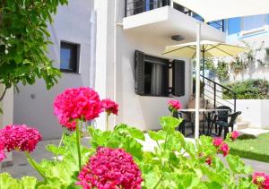 Casa Luminosa Guesthouse